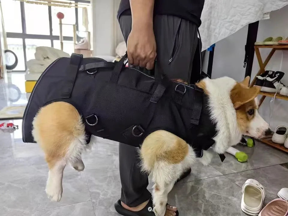 Mochila de viaje para mascotas (3 tamaños), portador de hombro para senderismo al aire libre, caminar, duradero, cómodo, de tela Oxford, portador para perros/gatos