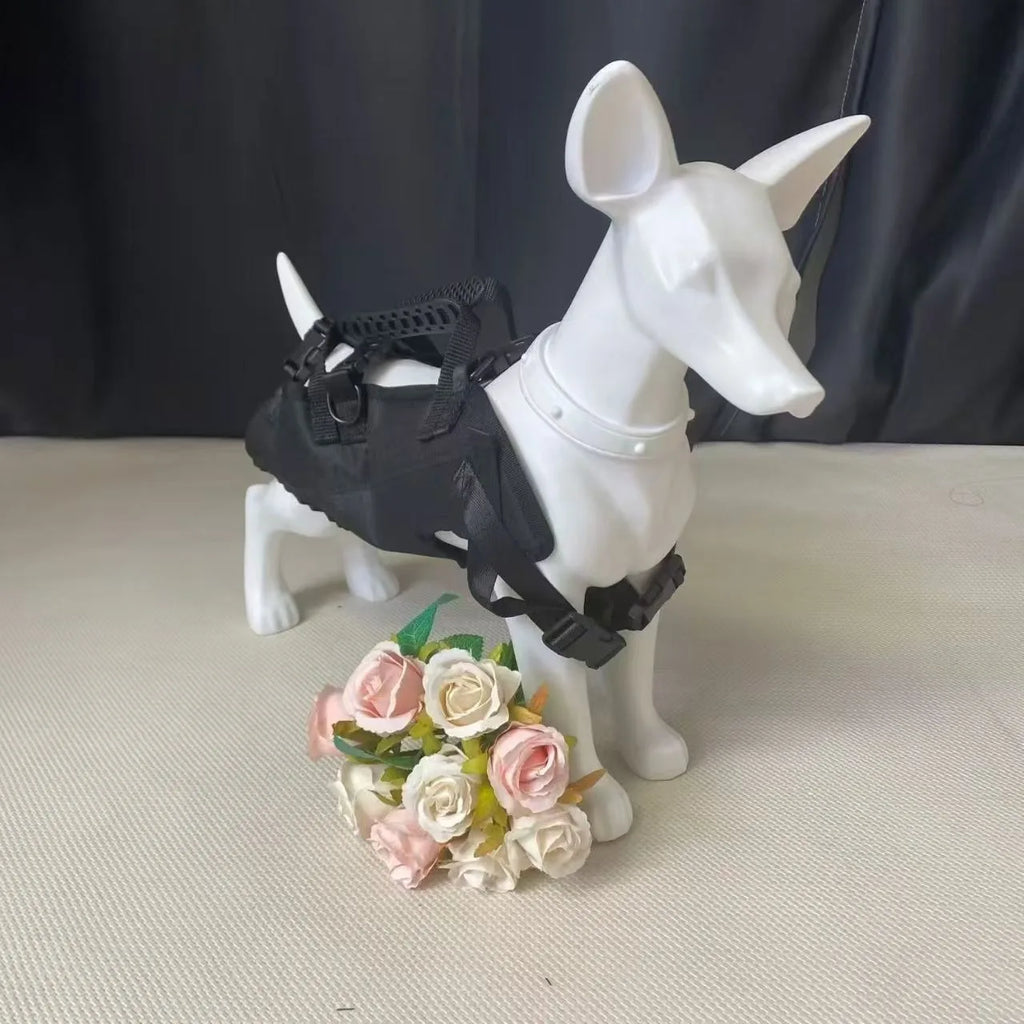 Mochila de viaje para mascotas (3 tamaños), portador de hombro para senderismo al aire libre, caminar, duradero, cómodo, de tela Oxford, portador para perros/gatos